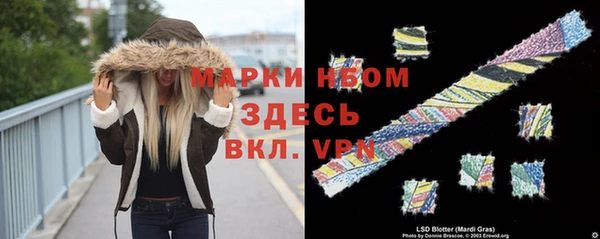 шишки Верея
