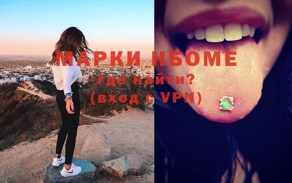 шишки Верея