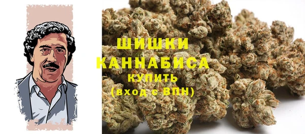 шишки Верея