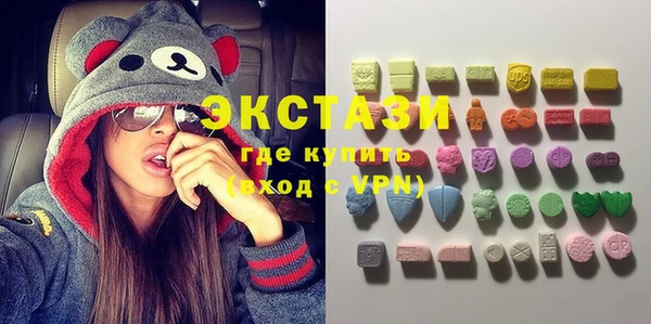 шишки Верея