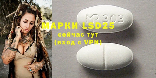 шишки Верея