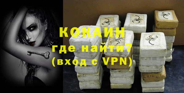 шишки Верея