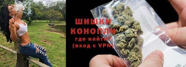шишки Верея