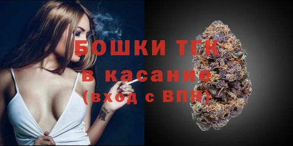 шишки Верея